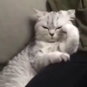 Meet your Posher, Margo